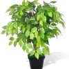 vidaXL Künstlicher Zwerg-Ficus mit Topf 60 cm