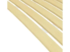 vidaXL Lattenrost mit 24 Latten 120x200 cm1123464* Betten