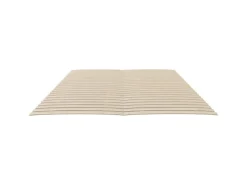 vidaXL Lattenroste mit 48 Latten 2 Stk. 70x200 cm1848504