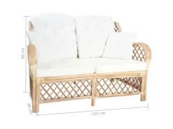 vidaXL 2-Sitzer-Sofa Rattan* Sofas