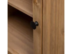 vidaXL TV-Schrank 120 x 40 x 50 cm Massivholz Panama-Kiefür
