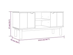 vidaXL TV-Schrank OTTA 113,5x43x57 cm Massivholz Kiefür