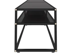 vidaXL TV-Schrank Schwarz 220x40x40,5 cm Hartglas