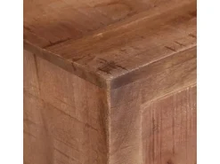 vidaXL TV-Schrank 110x30x40 cm Raues Mangoholz Modell 1* Wohnwände