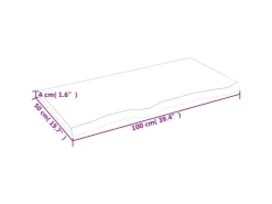 vidaXL Waschtischplatte Dunkelgrau 100x50x4 cm Massivholz Behandelt* Regale Massivholz