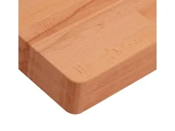 vidaXL Waschtischplatte 100x60x4 cm Massivholz Buche