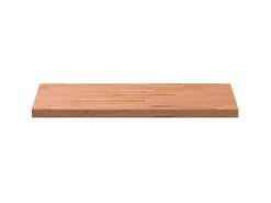vidaXL Waschtischplatte 100x60x4 cm Massivholz Buche