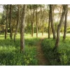 Komar Vlies Fototapete Blütenzauberwald 450x280 cm* Fototapeten
