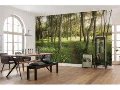 Komar Vlies Fototapete Blütenzauberwald 450x280 cm* Fototapeten