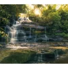 Komar Vlies Fototapete Golden Falls 450x280 cm