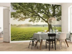 Komar Vlies Fototapete The Magic Tree 450x280 cm* Fototapeten
